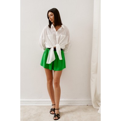 Модель Шорты А224