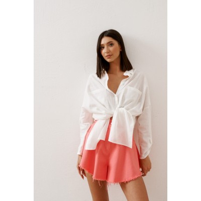 Модель Шорты А226